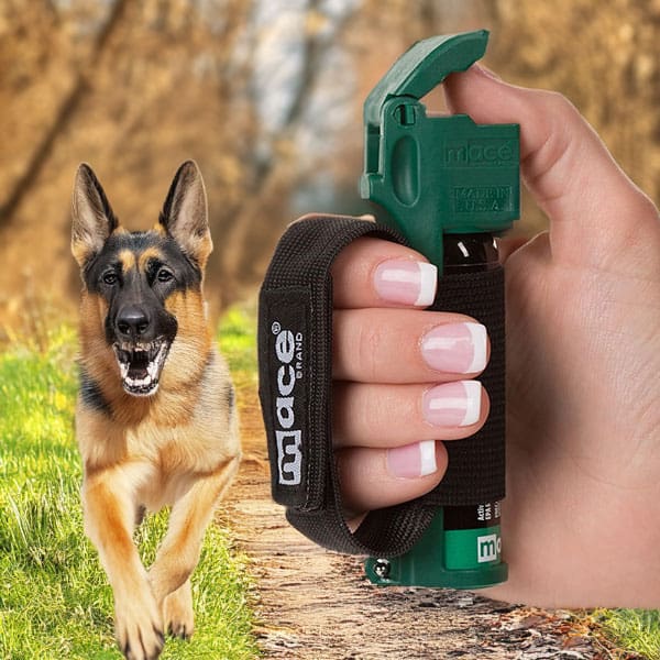 Hand holding mace spray with barking dog in background on a forest path.