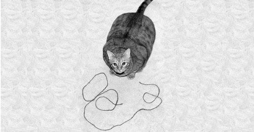 Tabby cat playfully interacting with a string on a textured background.